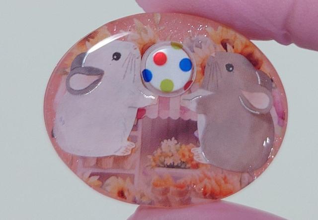 ``񂩂킢wASElbNXE}OlbgE|j[tbN@@``@@``ANZT[@@``ObY  t@bV 