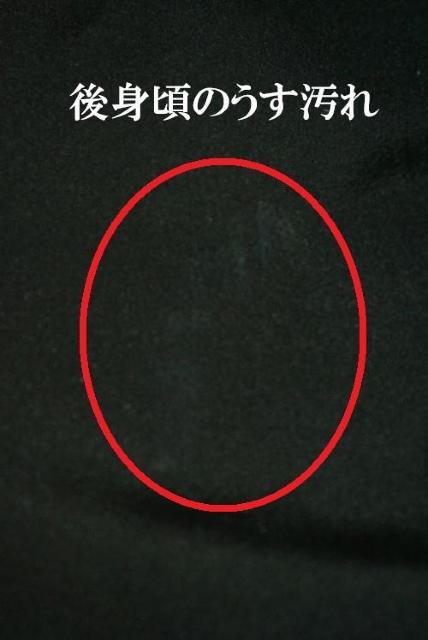   ō {FT [ 򂵐 i ԕ 䗃t g152cm 64cm   T3608  t@bV 