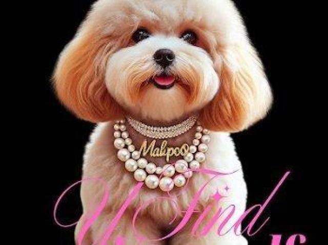 nCNIeB[ TVc }v[@OWA[@ O  t@bV 