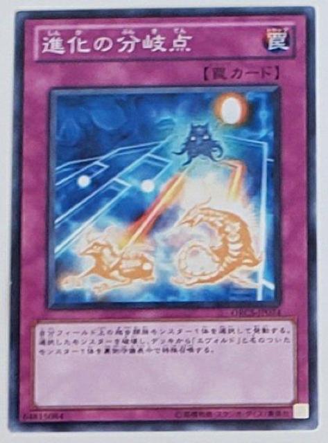 Õi@VY@fGX^[Y@i̕_@P   g[fBOJ[h 