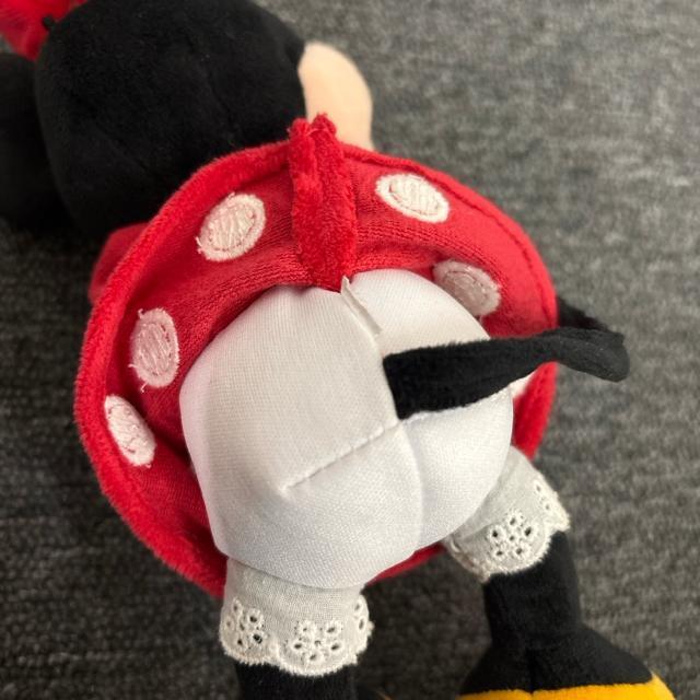  Disney fBYj[ ~j[ ʂ XibOXibp[Y  Aj/R~bN/LN^[ 