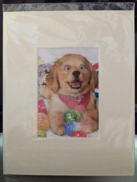 ������ [�J�v�Z���ƃ��g���[�o�[] �z�t���C���X�g�|�X�^�[���V�i  �� �y�b�g/��|/���|�� 