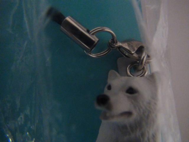 XgbvR_ZbgAET,p_IB  zr[ 