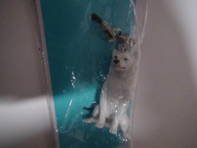 XgbvR_ZbgAET,p_IB  zr[ 