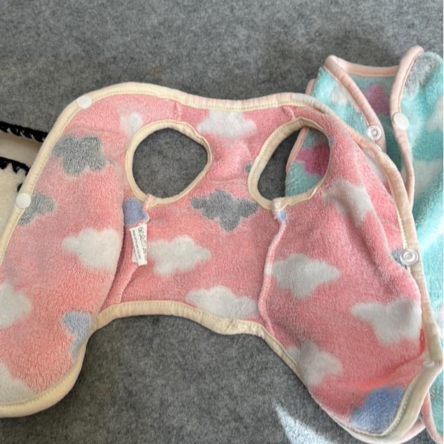 ドックウェア xs < ホビー ドックウェア xs < ホビーの