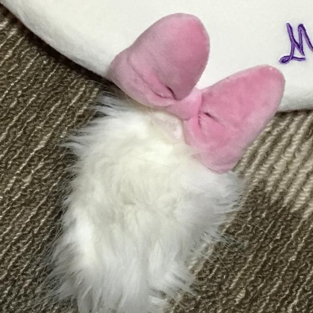 ディズニー・おしゃれキャットマリー・円型チェアクッション < アニメ/コミック/キャラクター ディズニー・おしゃれキャットマリー・円型チェアクッション < アニメ/コミック/キャラクターの