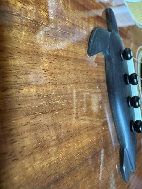 ハワイアンコア単板 ビッグアイランド KSX TRG ピエゾPU&ハードケース付 カッタウェイ仕様 スロテッドヘッド < ホビー ハワイアンコア単板 ビッグアイランド KSX TRG ピエゾPU&ハードケース付 カッタウェイ仕様 スロテッドヘッド < ホビーの