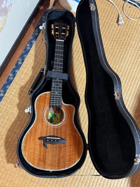 ハワイアンコア単板 ビッグアイランド KSX TRG ピエゾPU&ハードケース付 カッタウェイ仕様 スロテッドヘッド < ホビー ハワイアンコア単板 ビッグアイランド KSX TRG ピエゾPU&ハードケース付 カッタウェイ仕様 スロテッドヘッド < ホビーの