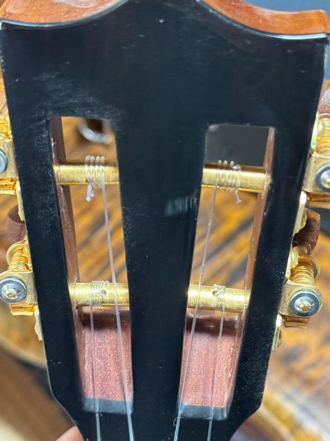 ハワイアンコア単板 ビッグアイランド KSX TRG ピエゾPU&ハードケース付 カッタウェイ仕様 スロテッドヘッド < ホビー ハワイアンコア単板 ビッグアイランド KSX TRG ピエゾPU&ハードケース付 カッタウェイ仕様 スロテッドヘッド < ホビーの