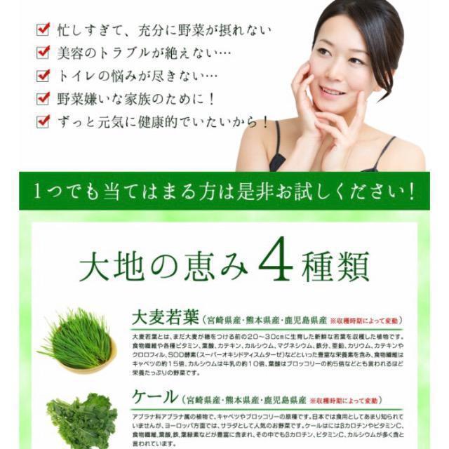 �P���̐` �v���Z���^���� 30�� ���_�� �H���@�� �h�����N ���N�H�i