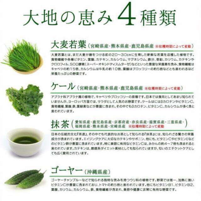 �P���̐` �v���Z���^���� 30�� ���_�� �H���@�� �h�����N ���N�H�i