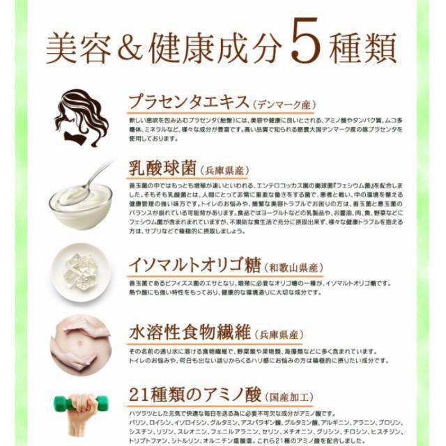 �P���̐` �v���Z���^���� 30�� ���_�� �H���@�� �h�����N ���N�H�i