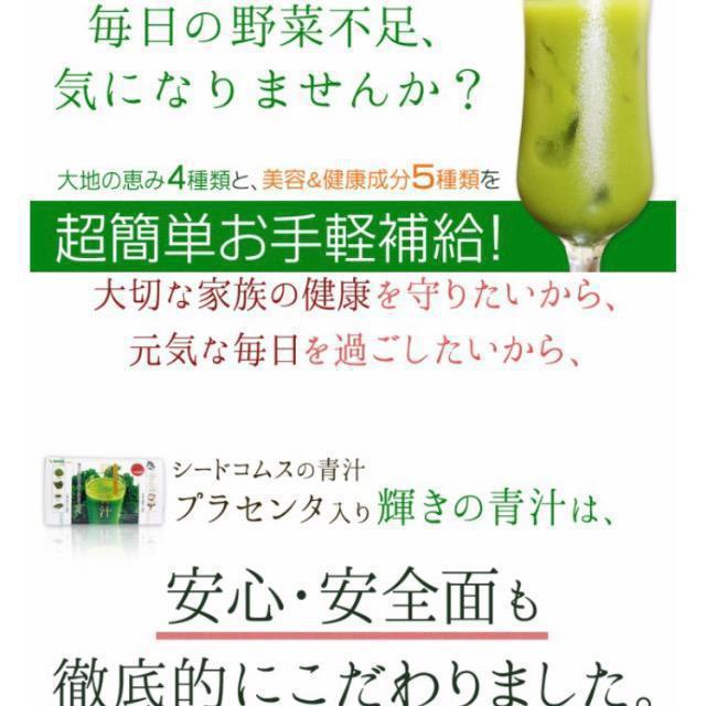 �P���̐` �v���Z���^���� 30�� ���_�� �H���@�� �h�����N ���N�H�i