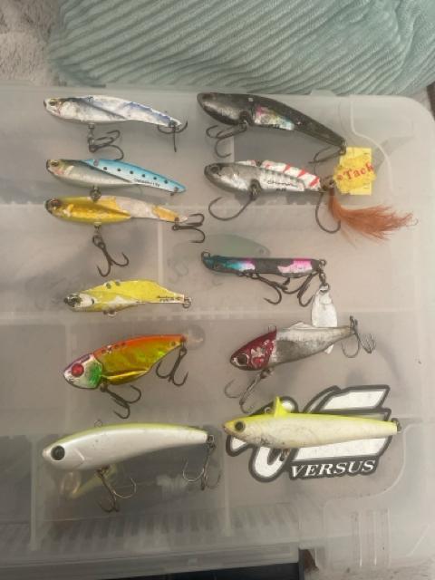 Blue BlueERA}EKoXȂǂȃA[Zbg  W[/X|[c 