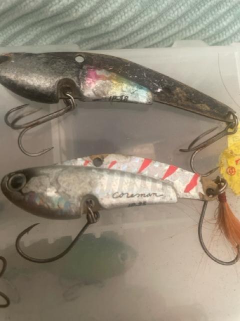 Blue BlueERA}EKoXȂǂȃA[Zbg  W[/X|[c 