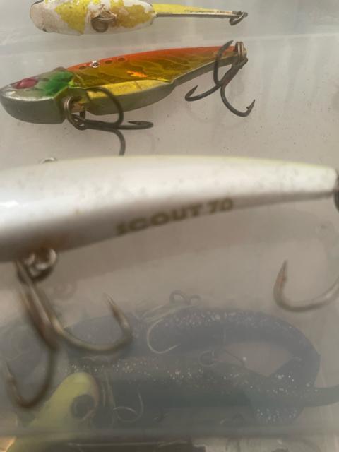 Blue BlueERA}EKoXȂǂȃA[Zbg  W[/X|[c 