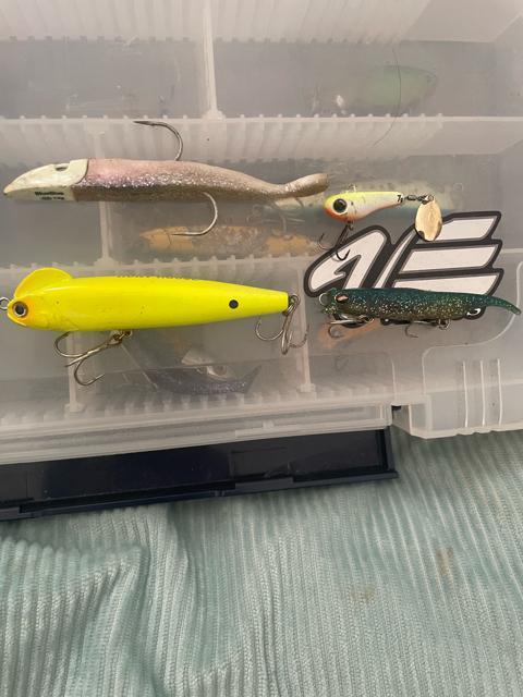 Blue BlueERA}EKoXȂǂȃA[Zbg  W[/X|[c 