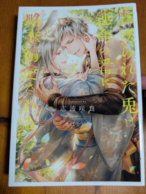 小説 BL 虐げられた兎は運命の番に略奪溺愛される 志波咲良 アンダルシュノベルズ < 本/雑誌 小説 BL 虐げられた兎は運命の番に略奪溺愛される 志波咲良 アンダルシュノベルズ < 本/雑誌の