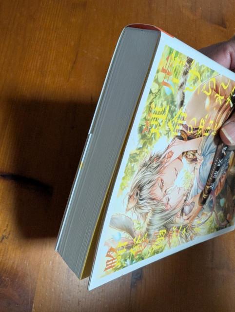 小説 BL 虐げられた兎は運命の番に略奪溺愛される 志波咲良 アンダルシュノベルズ < 本/雑誌 小説 BL 虐げられた兎は運命の番に略奪溺愛される 志波咲良 アンダルシュノベルズ < 本/雑誌の