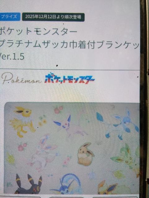 ポケットモンスタープラチナムザッカ巾着付きブランケットvol.1.5 < アニメ/コミック/キャラクター ポケットモンスタープラチナムザッカ巾着付きブランケットvol.1.5 < アニメ/コミック/キャラクターの