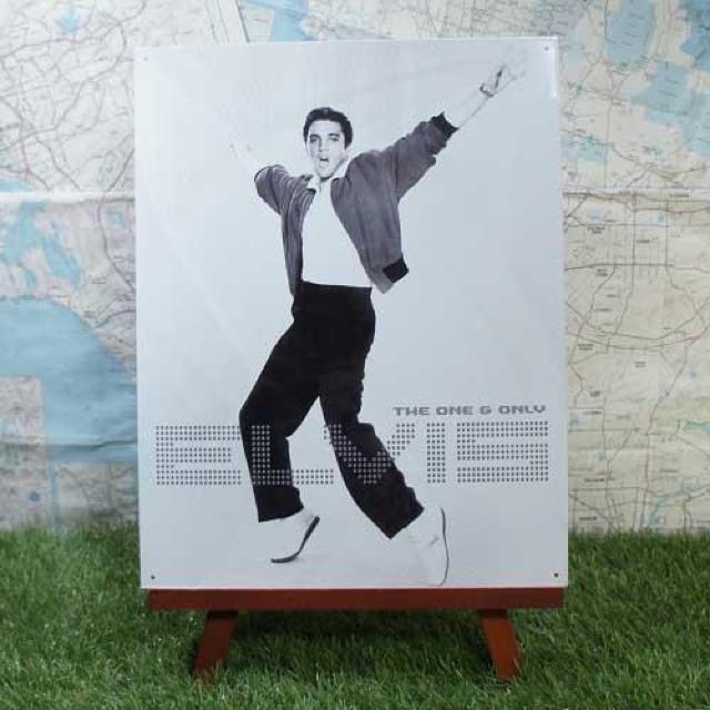 ViyuLŔzElvis Presley^GBXEvX[@The One & Only   zr[ 