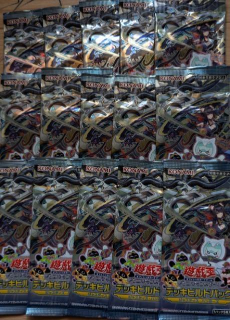 �V�Y���@�f�b�L�r���h�p�b�N�@�W���X�e�B�X�E�n���^�[�Y�@15�p�b�N 