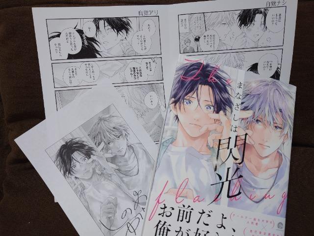 BL�����[�t���b�g�t�y�܂Ȃ����͑M���z���� 