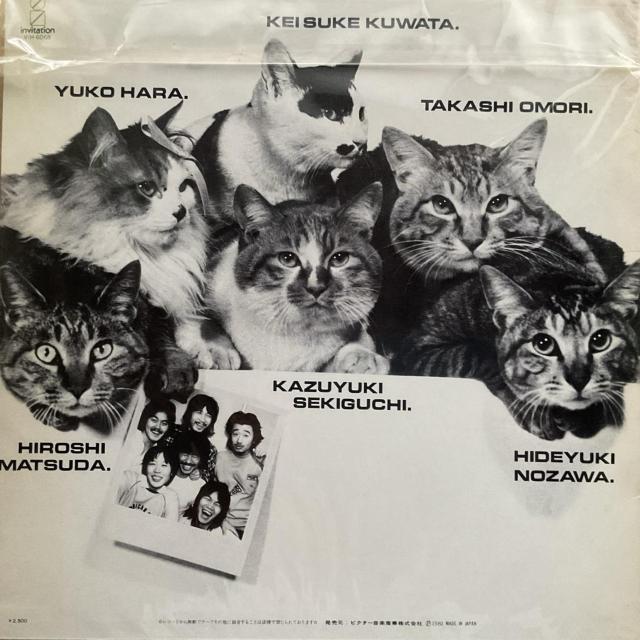 サザンオールスターズ / TINY BUBBLES. < CD/DVD/ビデオ サザンオールスターズ / TINY BUBBLES. < CD/DVD/ビデオの