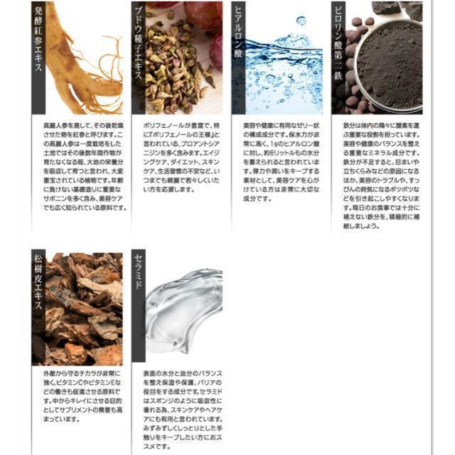 プロテオグリカン サプリメント 約3ヵ月分 美容 保水 保湿 ヒアルロン酸 健康食品 < グルメ/ドリンク  プロテオグリカン サプリメント 約3ヵ月分 美容 保水 保湿 ヒアルロン酸 健康食品 < グルメ/ドリンクの