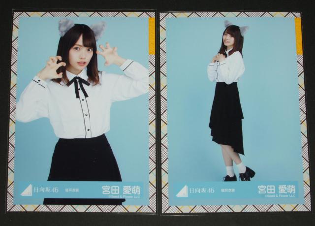 ������46 ���ʐ^�S���R���v�@�{�c���G�@�L���ߑ� �� �^�����g�O�b�Y�� 