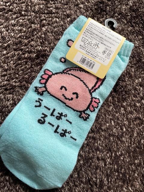 Vi򂨂   [ρ[[ρ[  \bNXC 2325 E[p[[p[