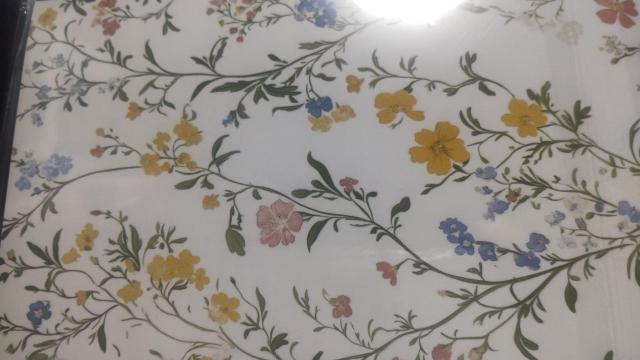 2026年 スケジュール日記手帳 < インテリア/ライフ 2026年 スケジュール日記手帳 < インテリア/ライフの