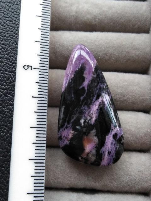 �`�����A�C�g �� �z�r�[�� 