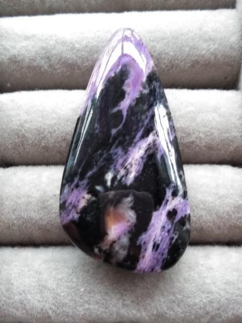 �`�����A�C�g �� �z�r�[�� 