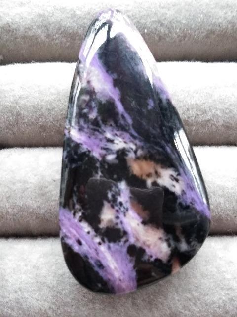 �`�����A�C�g �� �z�r�[�� 