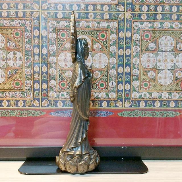 R[hLXguY @̋ʍɗĂωF  CeA/Ct 