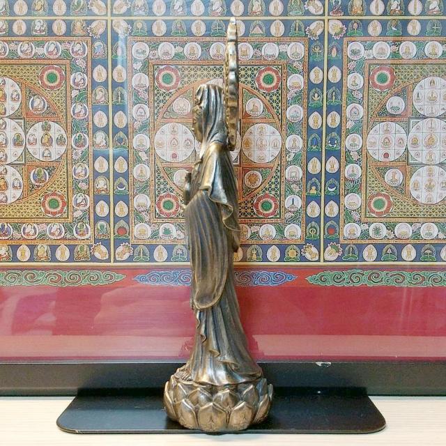 R[hLXguY @̋ʍɗĂωF  CeA/Ct 