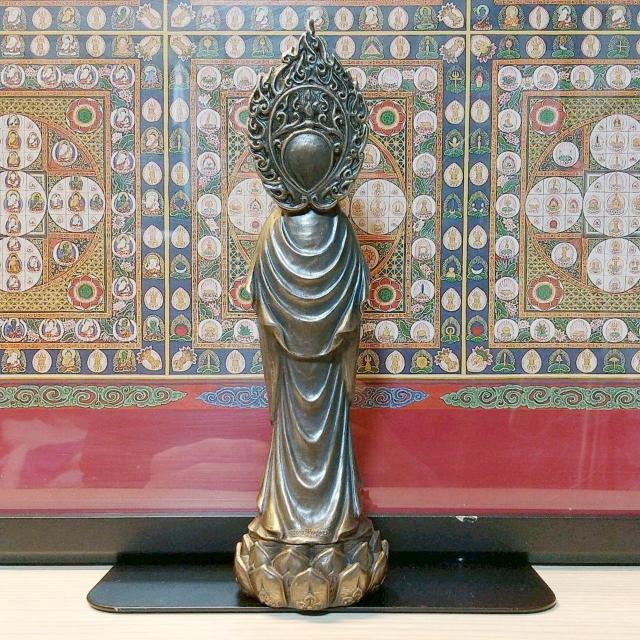 R[hLXguY @̋ʍɗĂωF  CeA/Ct 