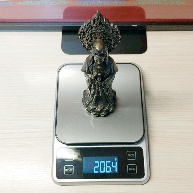 R[hLXguY @̋ʍɗĂωF  CeA/Ct 