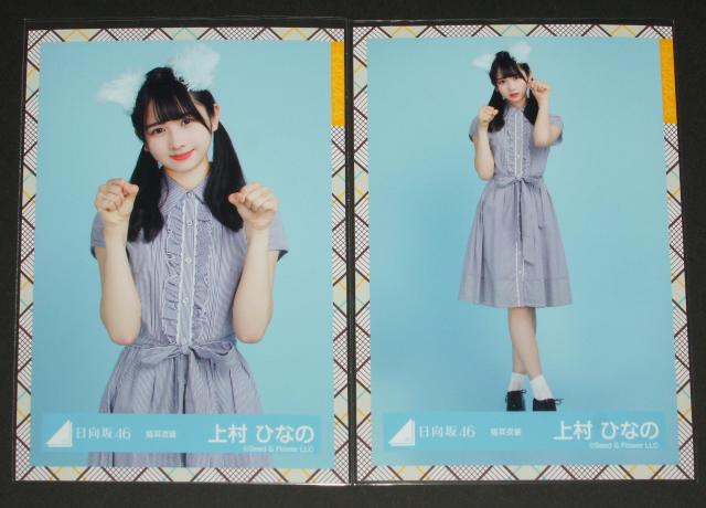日向坂46 生写真4枚コンプ 上村ひなの 猫耳衣装 < タレントグッズ  日向坂46 生写真4枚コンプ 上村ひなの 猫耳衣装 < タレントグッズの