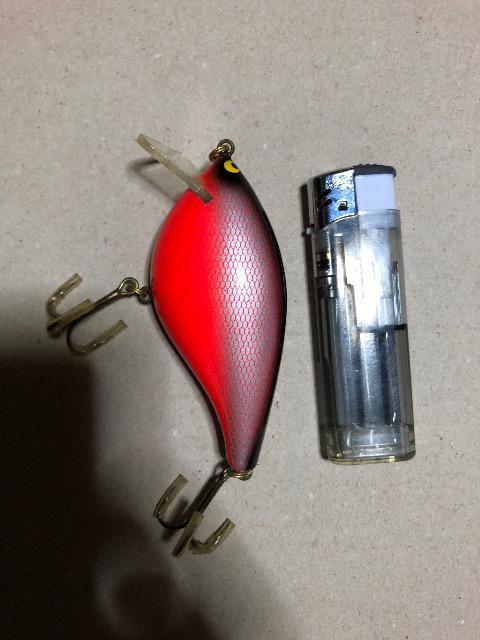 バルサ50 オリジナル < レジャー/スポーツ  バルサ50 オリジナル < レジャー/スポーツの