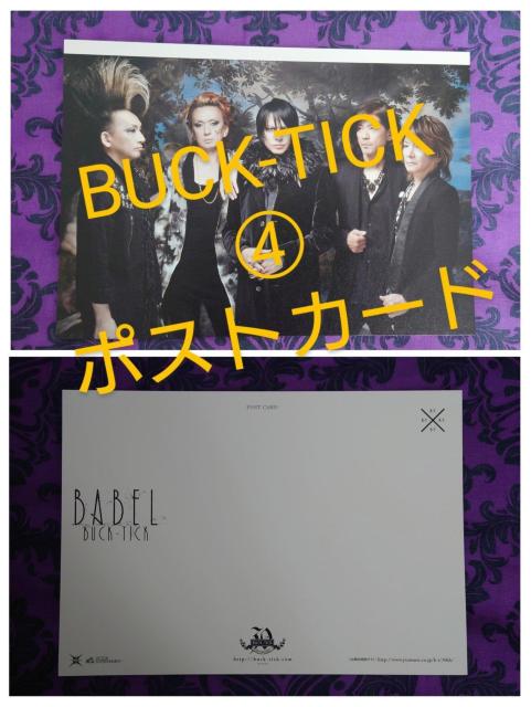 CBUCK-TICKフライヤー ポストカードロクス・ソルスの獣たち 35周年 No.0 魅世物小屋が暮れてから < タレントグッズ  CBUCK-TICKフライヤー ポストカードロクス・ソルスの獣たち 35周年 No.0 魅世物小屋が暮れてから < タレントグッズの