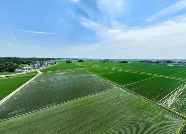 �ߘa�Z�N�x�Y�@�L�@�ā@5Kg�@�{�錧���s�Y