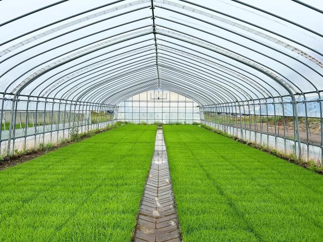 �ߘa�Z�N�x�Y�@�L�@�ā@5Kg�@�{�錧���s�Y