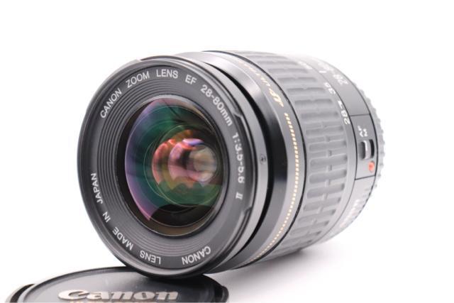 ��l�C�I Canon EOS Kiss X5 �_�u�������Y�Z�b�g �� �Ɠd/AV�� 