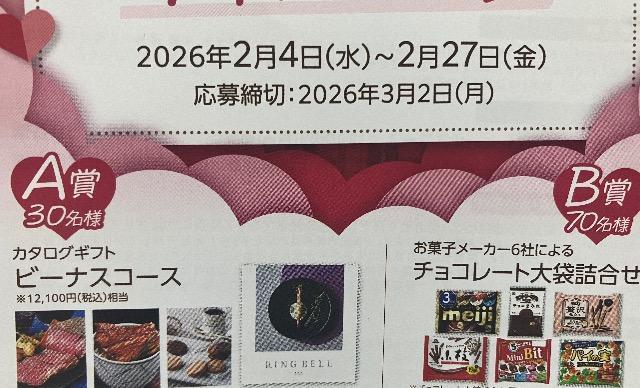 �^�C�A�b�v��12100�~�����J�^���O�M�t�g/�`���R���[�g��܋l�ߍ��킹/100���l1��  �� �`�P�b�g/������ 