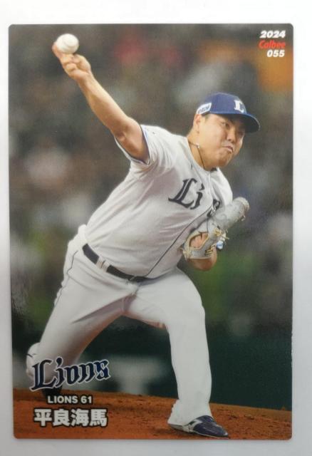 ʗX֑@v싅`bvX2024 055 ǊCn   g[fBOJ[h 