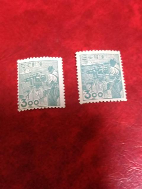 �Y�Ɛ}�Đ؎聖���g�p�i������������������  �� �z�r�[�� 