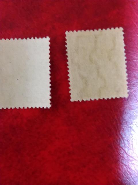 �Y�Ɛ}�Đ؎聖���g�p�i������������������ �� �z�r�[�� 