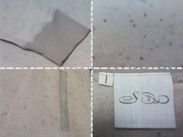 Vt[WBvXEFbg SIFURY glamb whiz victim APE Be[W re[W VINTAGE   uh 